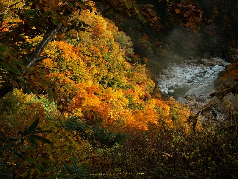 写真：秋深まって